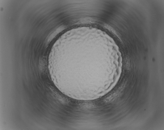 X0000073490874200608211647