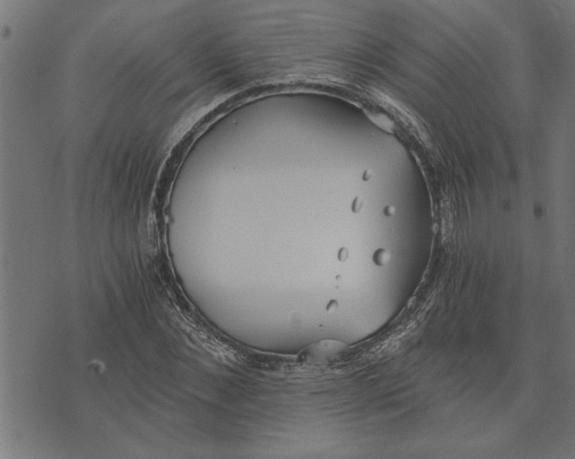 X0000073490876200608211647