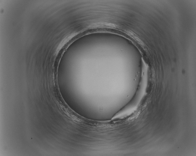 X0000073490877200608211647