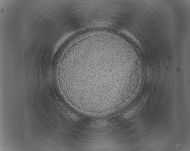 X0000073490878200608211647