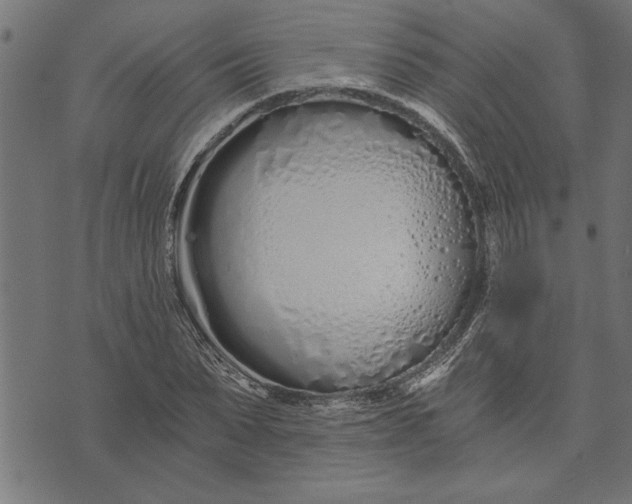 X0000073490879200608211647