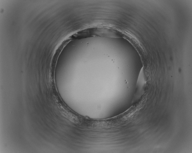 X0000073490880200608211647