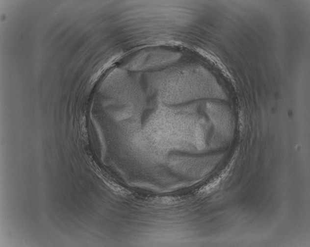 X0000073490881200608211647