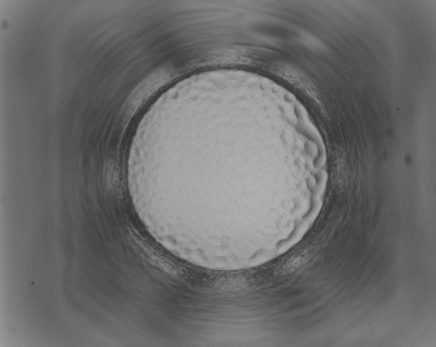 X0000073490882200608211647