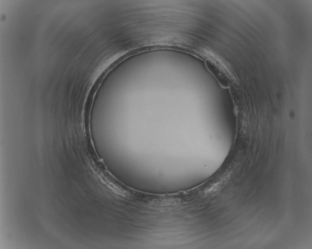 X0000073490884200608211647