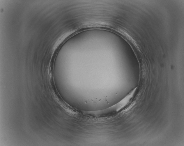 X0000073490885200608211647