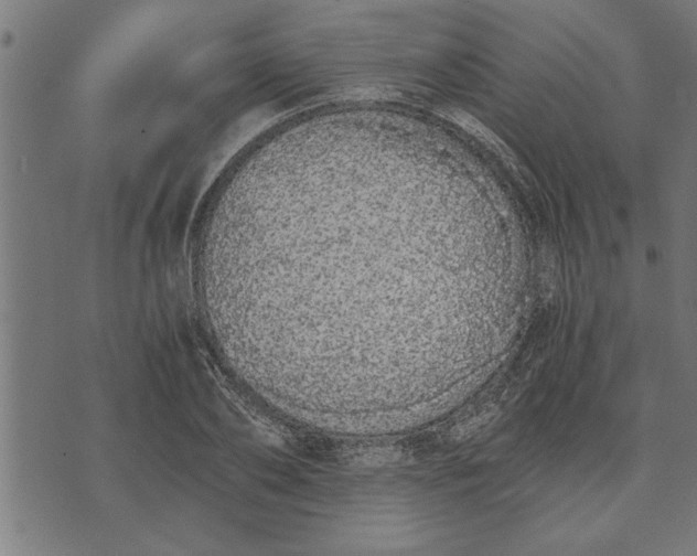 X0000073490886200608211647