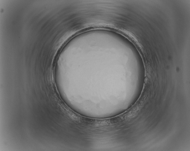 X0000073490887200608211647