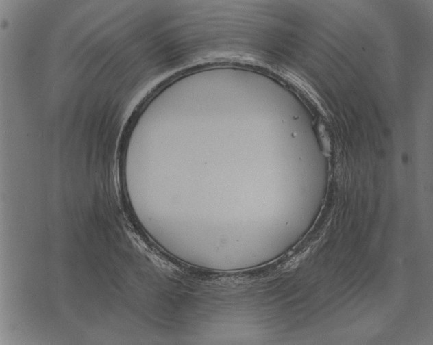 X0000073490888200608211647