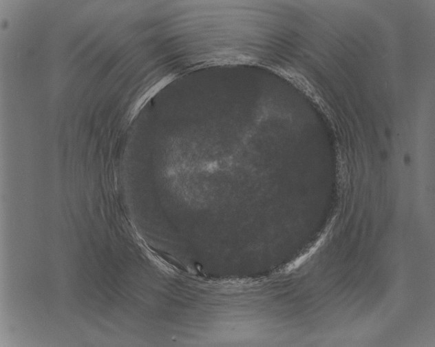 X0000073490889200608211647