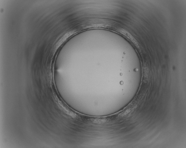 X0000073490890200608211647