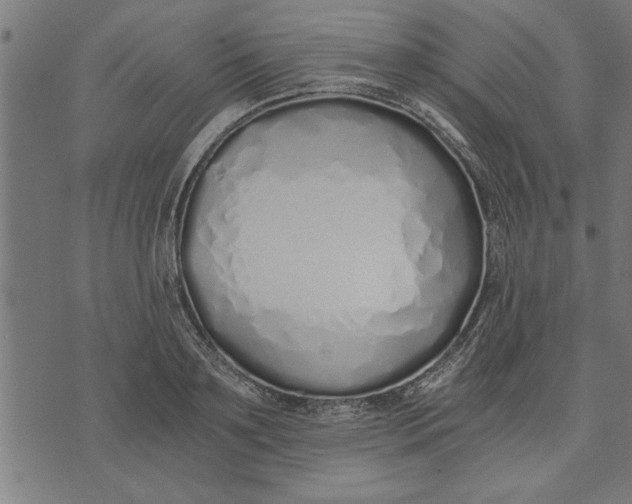 X0000073490891200608211647