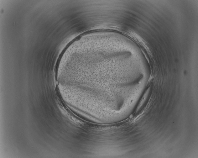 X0000073490892200608211647