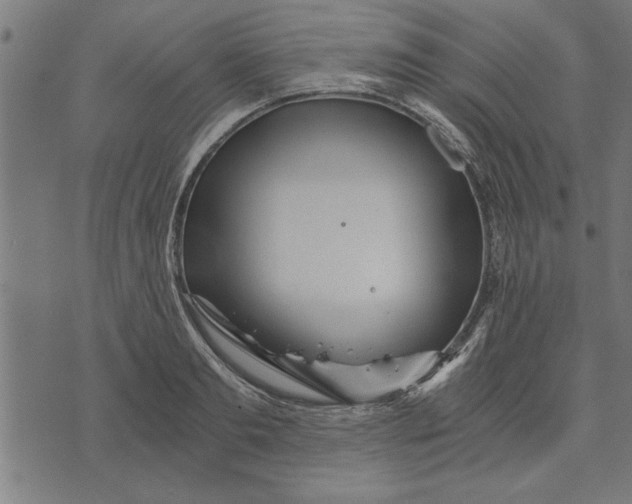 X0000073490893200608211647