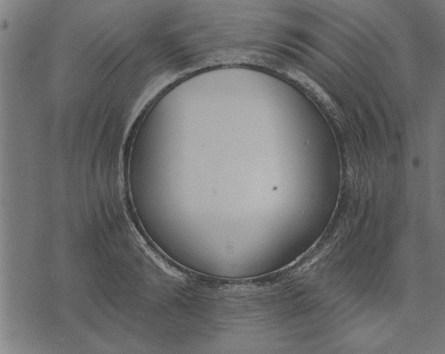 X0000073490894200608211647