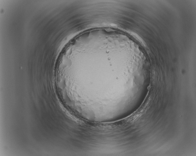 X0000073490895200608211647