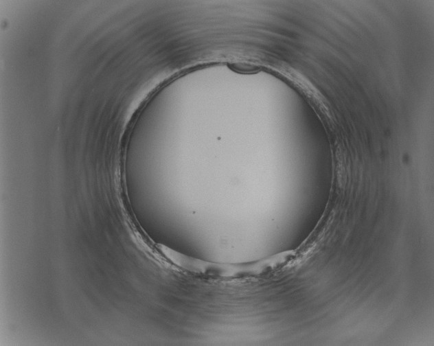 X0000073490896200608211647