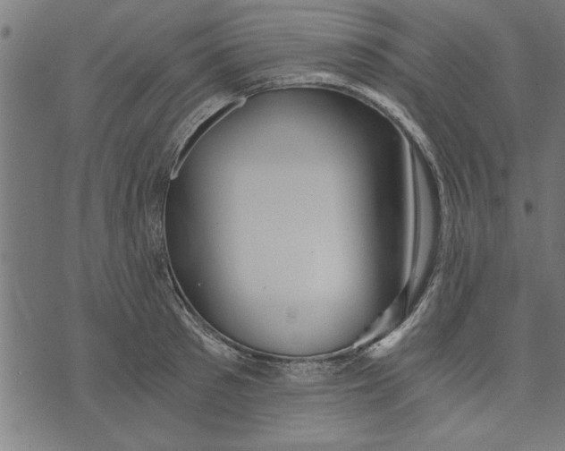 X0000073490897200608211647