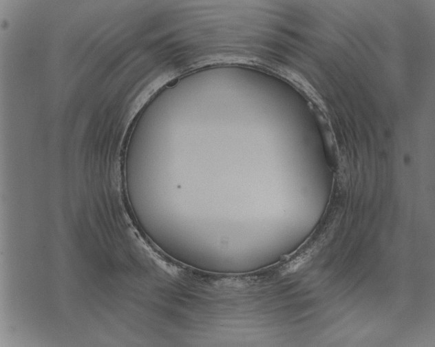 X0000073490898200608211647