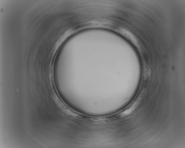 X0000073490899200608211647