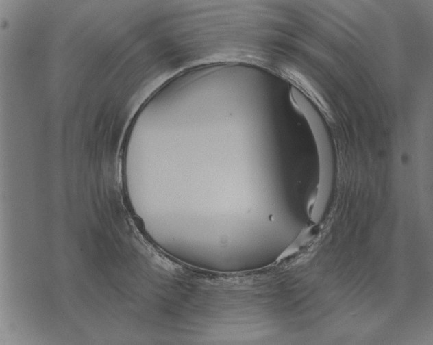 X0000073490900200608211647