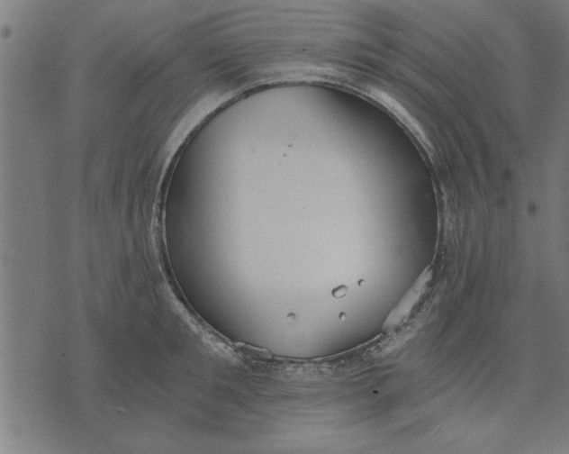 X0000073490901200608211647