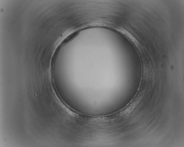 X0000073490902200608211647