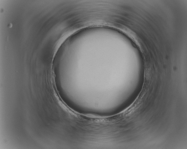 X0000073490903200608211647