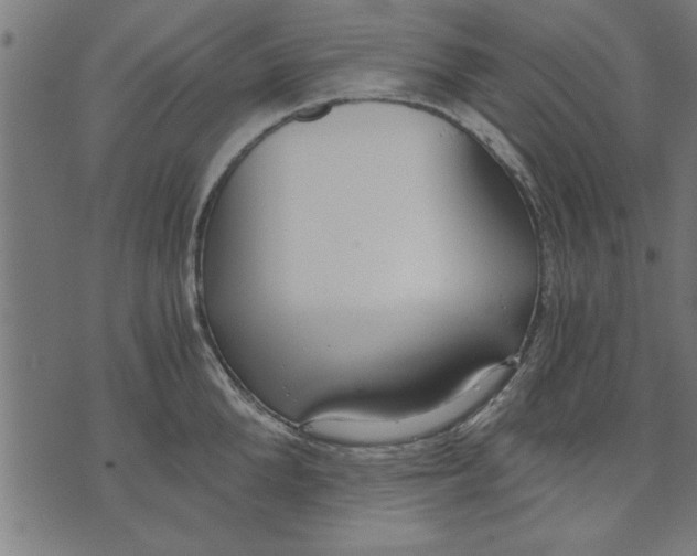 X0000073490904200608211647