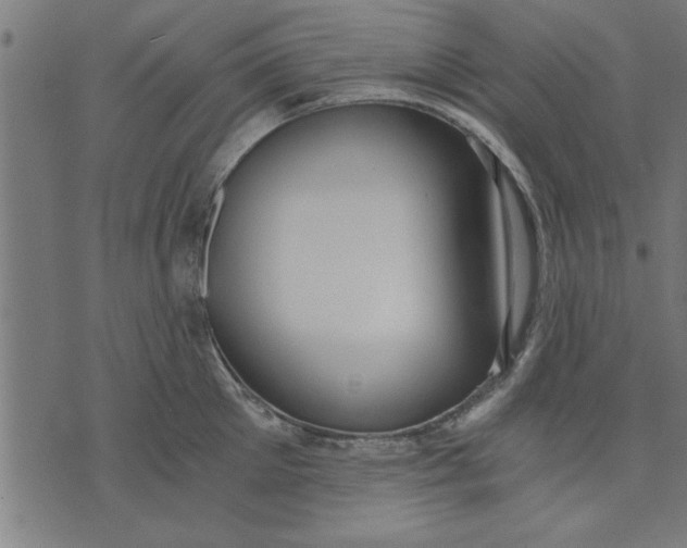 X0000073490905200608211647