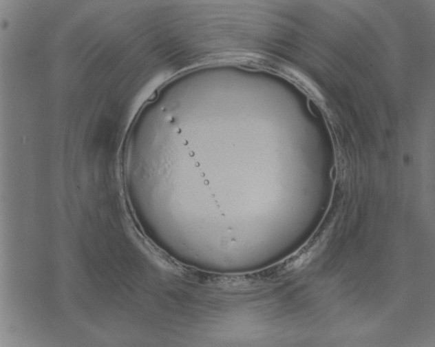 X0000073490907200608211647