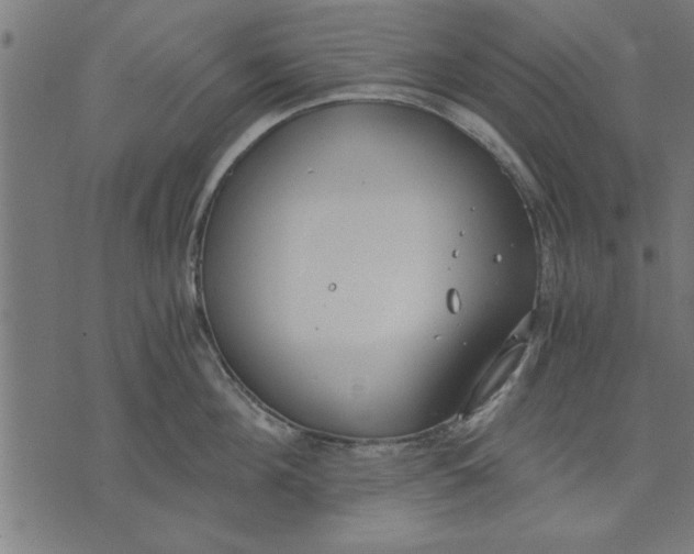 X0000073490908200608211647