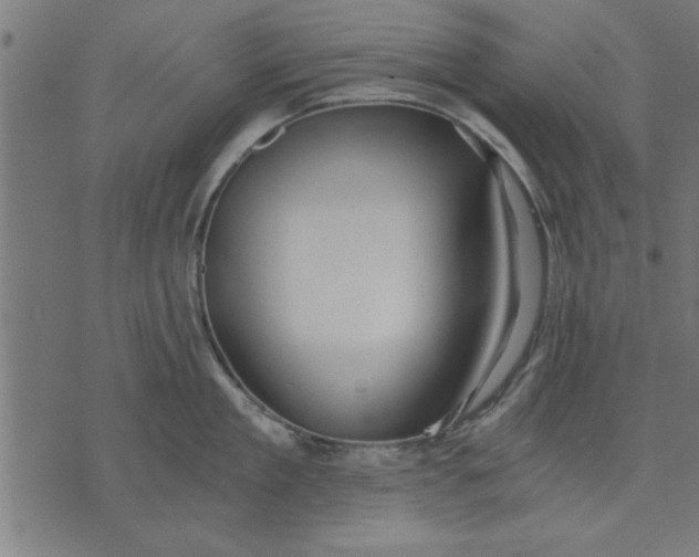 X0000073490909200608211647