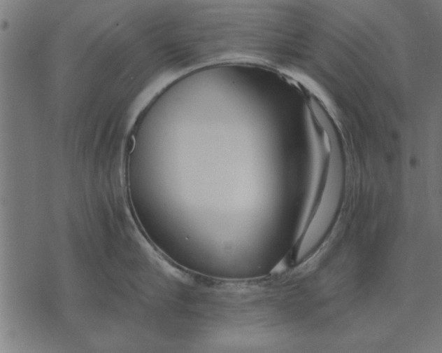 X0000073490910200608211647