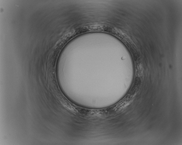 X0000073490913200608211646