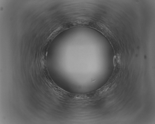 X0000073490915200608211646