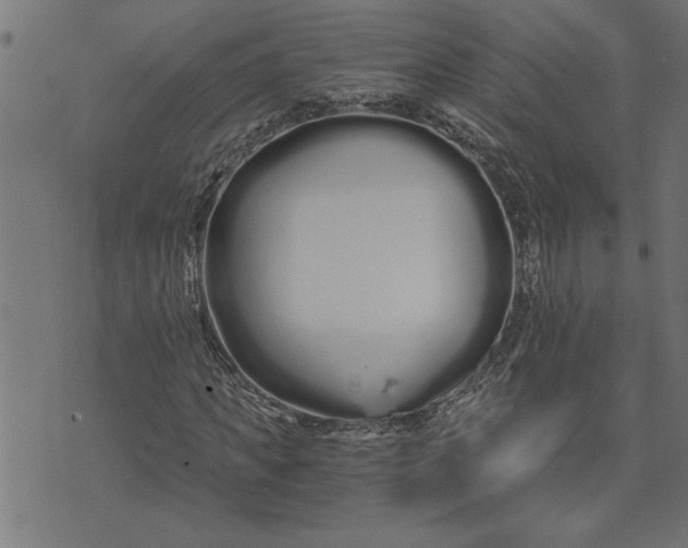 X0000073490917200608211646