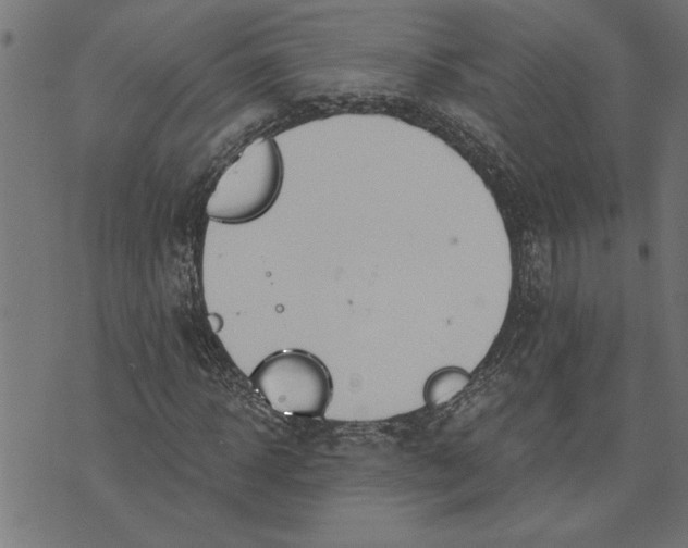 X0000073490918200608211646