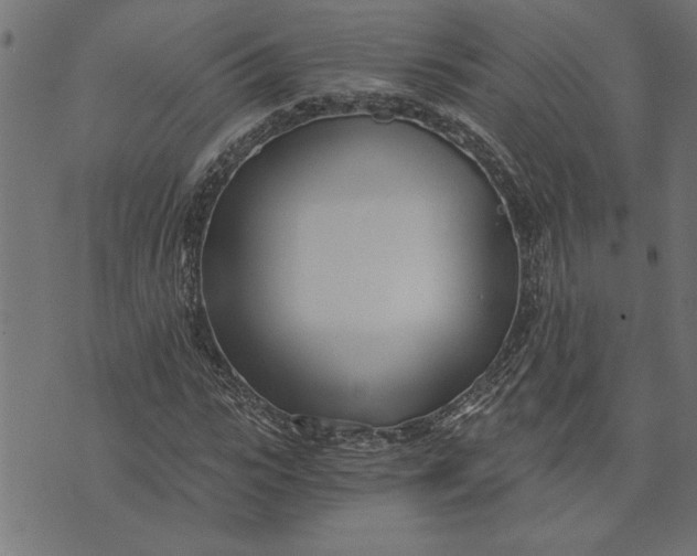 X0000073490919200608211646