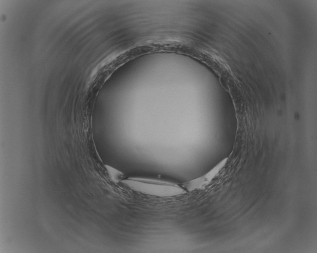 X0000073490920200608211646