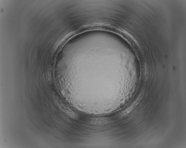 X0000073490921200608211646