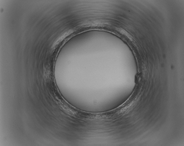 X0000073490922200608211646