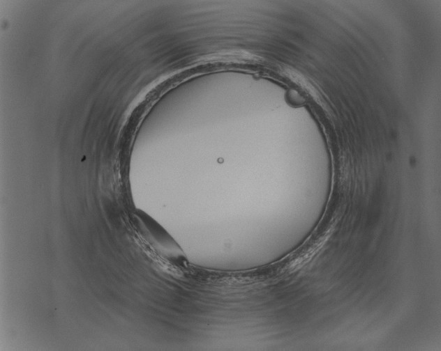 X0000073490923200608211646