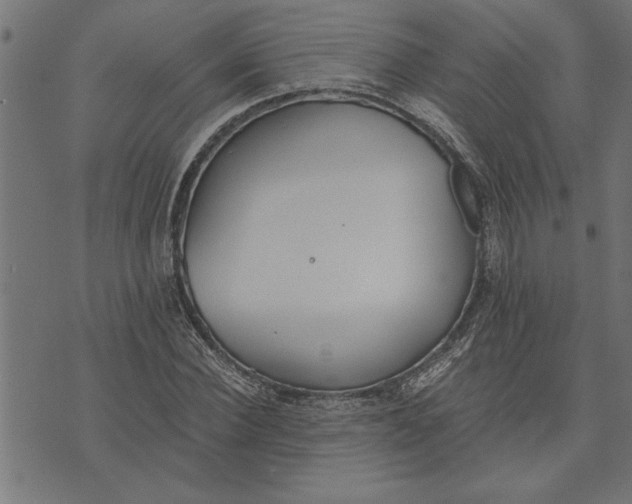 X0000073490924200608211646