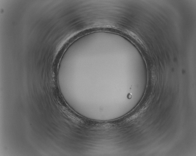 X0000073490926200608211646