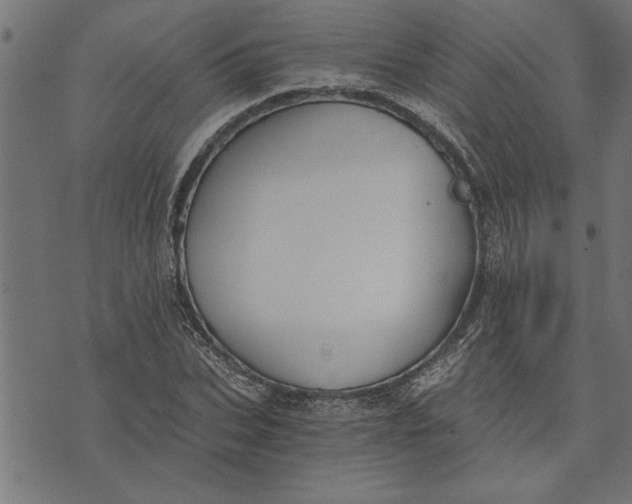 X0000073490927200608211646