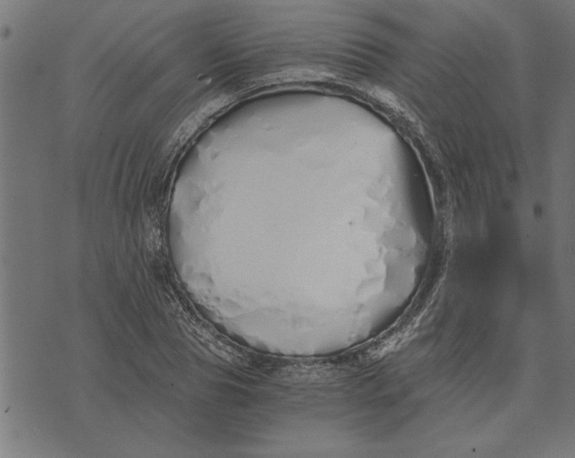 X0000073490929200608211646