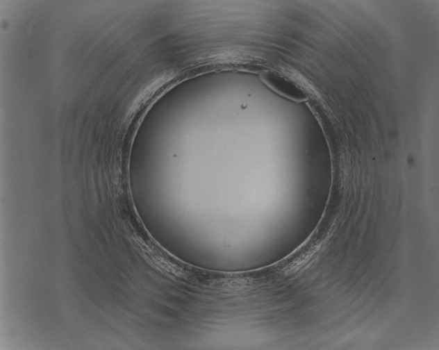 X0000073490930200608211646