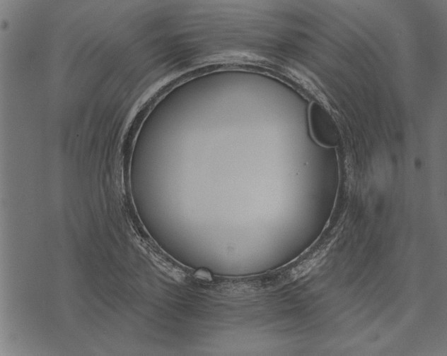 X0000073490931200608211646