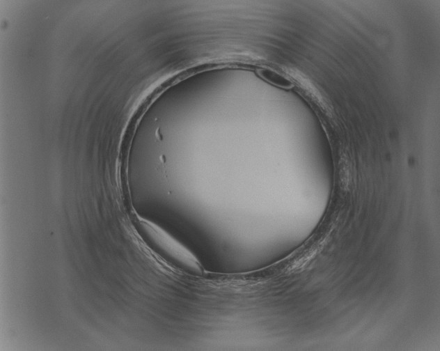 X0000073490932200608211646